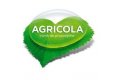 Un nou manager executiv pentru reteaua de magazine Agricola