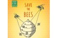 Kaufland invita copiii la ateliere de apicultura