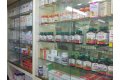 Programul lansat de A&D Pharma: Respiro inscrie 855 de farmacii independente