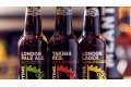 Ursus Breweries are un nou brand de bere