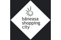 Baneasa Shopping City doneaza 45.000 de euro