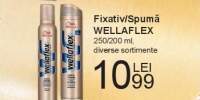Fixativ/ Spuma Wellaflex