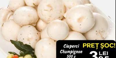 Ciuperci Champignon