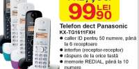 Telefon dect Panasonic KX-TG1611FXH