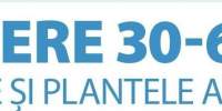 Reducere 30-60% la toate vazele si plantele artificiale!