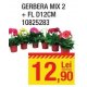 Gerbera mix 2 + Flori D 12 centimetri