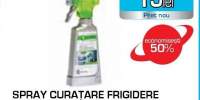 Spray curatare frigidere ELECTROLUX E6RCS106, 250 ml