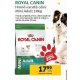 Royal Canin Hrana uscata caini Mini Adula 10 kg