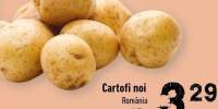 Cartofi noi Romania