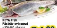 Reya Fish pastrav eviscerat
