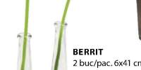 Vaza Berrit