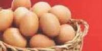oua de la gaini crescute in aer liber