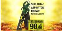 Suflanta/ aspirator frunze