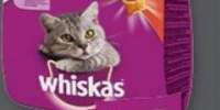 whiskas pisici