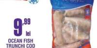 Trunchi cod nototenia Ocean Fish