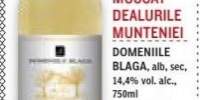 Vin Dry Muscat Dealurile Munteniei
