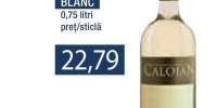Sauvignon Blanc, Crama Orpisor Caloian