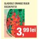 Gladiole orange bulbi