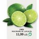 Limes Mexic/ Brazilia