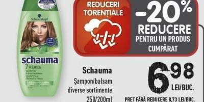 Sampon/ balsam Schauma