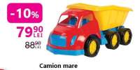 Camion mare