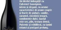 Merlot Prince Mircea Vinarte