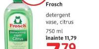 Detergent vase Frosch