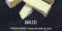 Brie Tour de Marze