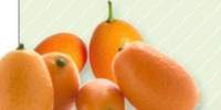Kumquats Africa de Sud