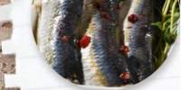 File de sardine Renna
