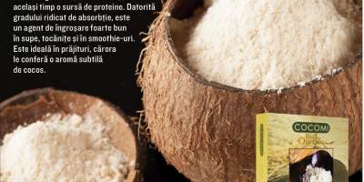 Faina de cocos bio Cocomi