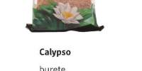 Calypso burete pentru scrub din celuloza