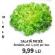 Salata frisee