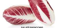 Salata Radicchio
