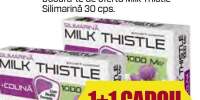 Milk Thistle+colina-Protectie hepatica