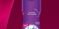 Deodorant spray Lady/ Mennen Speed Stick