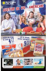 Catalog Lidl 22-28 iunie 2015 'Gusturi de vis american'
