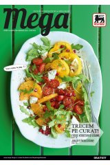 Catalog Mega Image Supermarketuri 25 februarie - 29 martie 2016 'Trecem pe curat!'