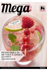 Catalog Mega Image Supermarketuri 30 iunie - 26 iulie 2016 'Petrecerea ta de vara e afara'